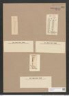 Navicula mesolepta var. nodosa (Ehr.) Brun. (de-Toni-Nr.: Genus 1, Species 77) Zeichnungen Sammlung Grunow Nr. 189 (NHMW-BOT-W0366426)